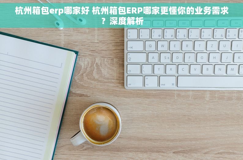 杭州箱包erp哪家好 杭州箱包ERP哪家更懂你的业务需求？深度解析