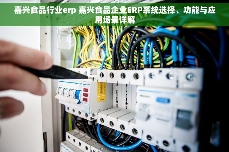 嘉兴食品行业erp 嘉兴食品企业ERP系统选择、功能与应用场景详解