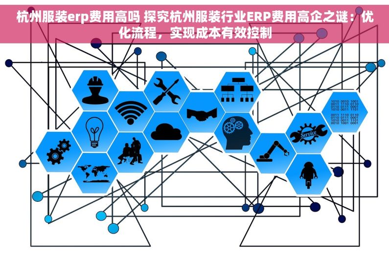 杭州服装erp费用高吗 探究杭州服装行业ERP费用高企之谜：优化流程，实现成本有效控制
