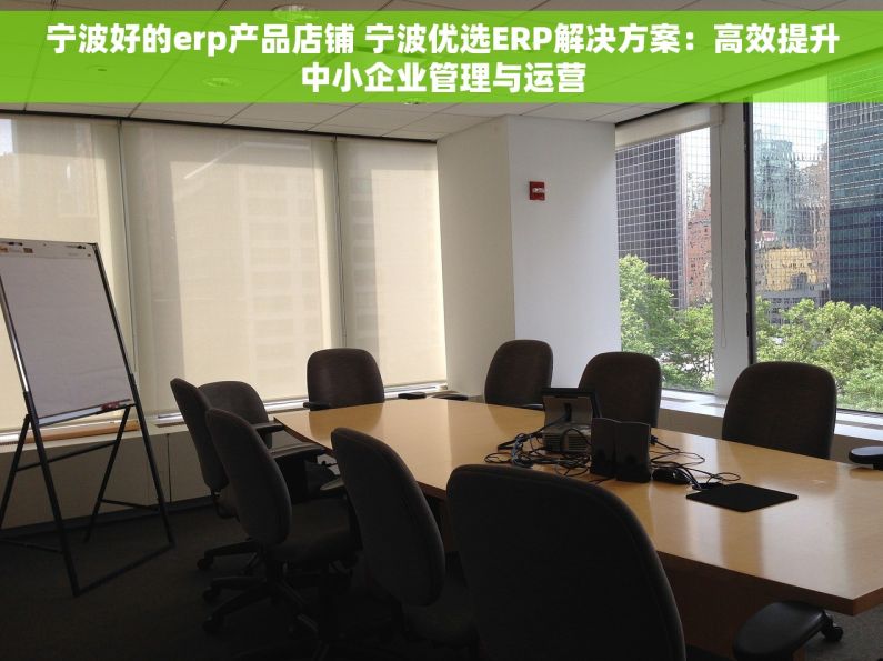 宁波好的erp产品店铺 宁波优选ERP解决方案：高效提升中小企业管理与运营