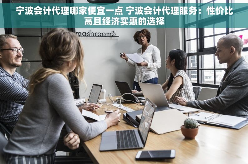 宁波会计代理哪家便宜一点 宁波会计代理服务：性价比高且经济实惠的选择