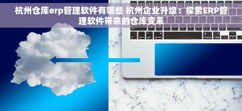 杭州仓库erp管理软件有哪些 杭州企业升级：探索ERP管理软件带来的仓库变革