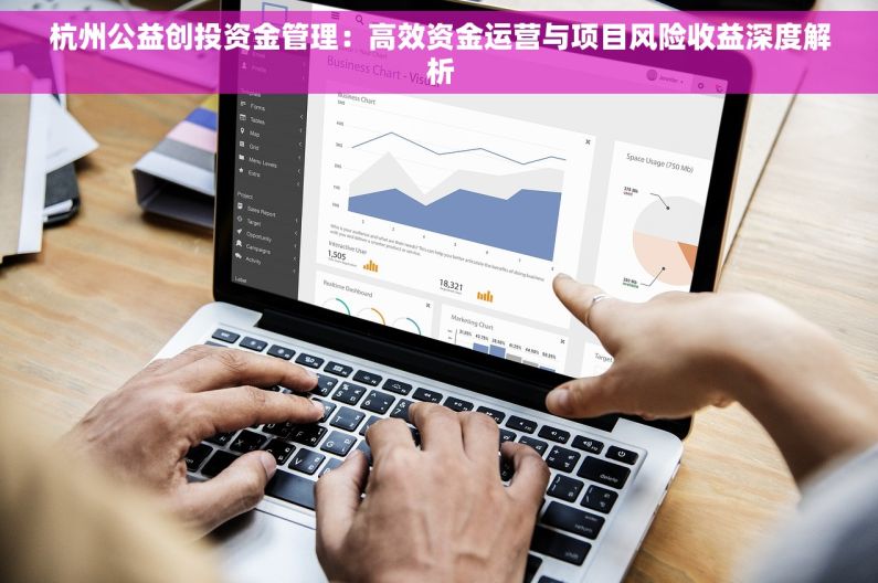 杭州公益创投资金管理：高效资金运营与项目风险收益深度解析