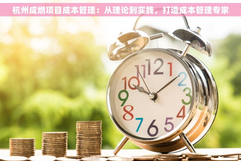 杭州成燃项目成本管理：从理论到实践，打造成本管理专家