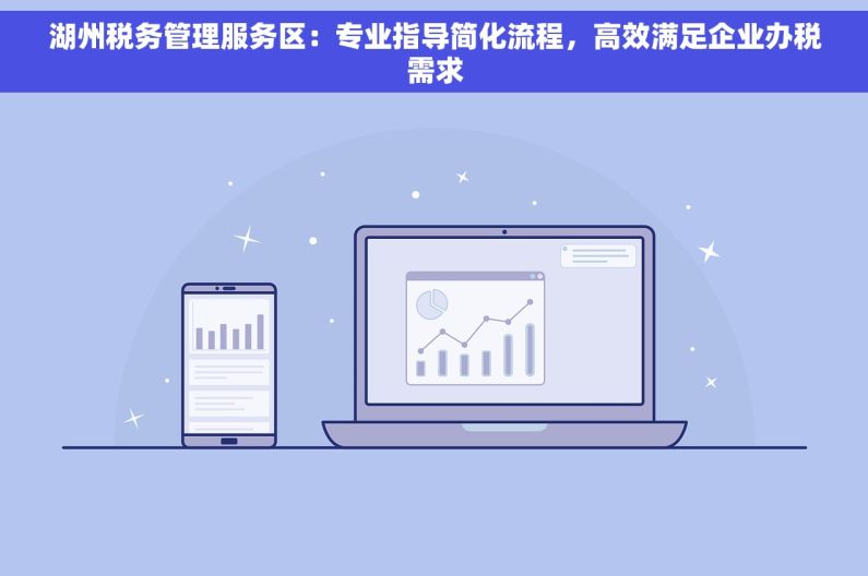 湖州税务管理服务区：专业指导简化流程，高效满足企业办税需求