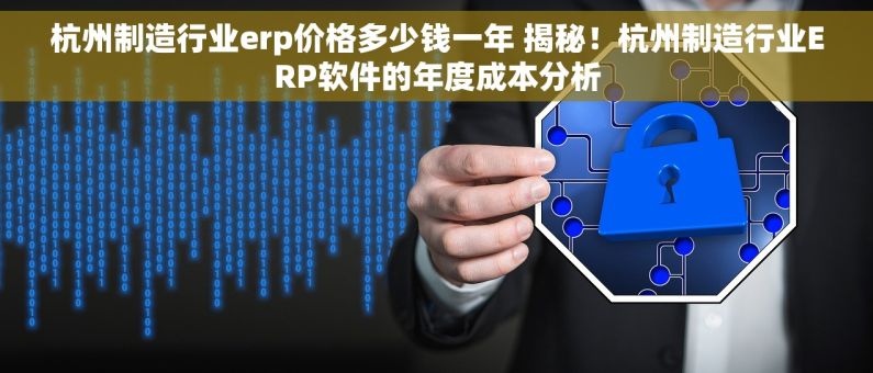 杭州制造行业erp价格多少钱一年 揭秘！杭州制造行业ERP软件的年度成本分析