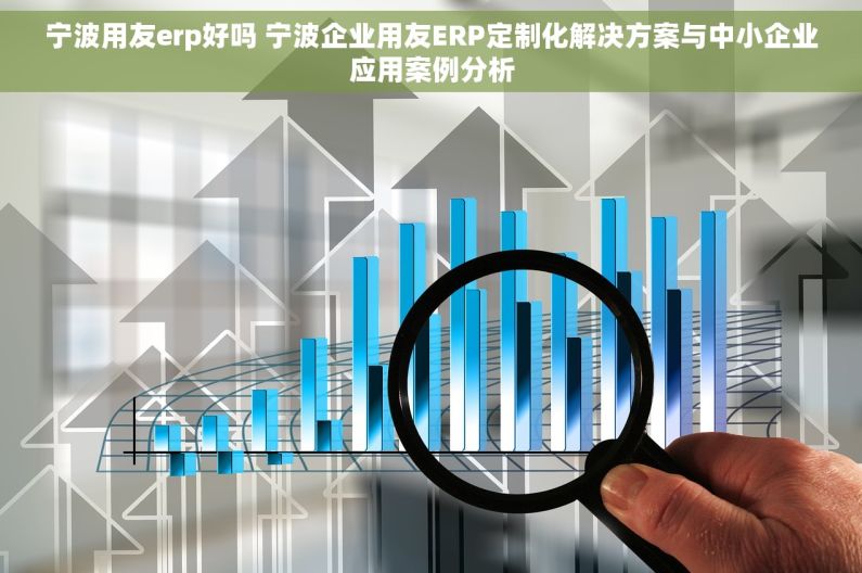 宁波用友erp好吗 宁波企业用友ERP定制化解决方案与中小企业应用案例分析