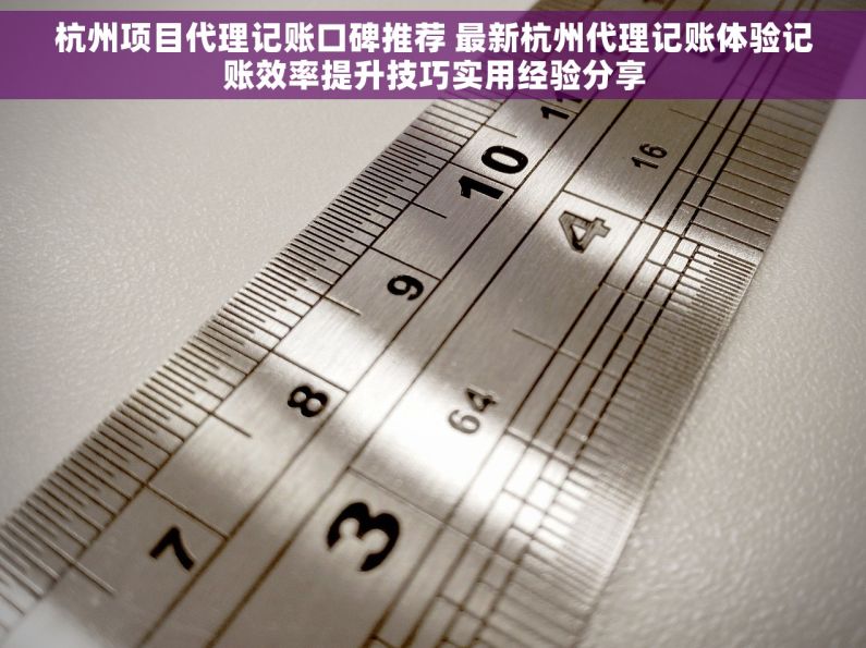 杭州项目代理记账口碑推荐 最新杭州代理记账体验记账效率提升技巧实用经验分享