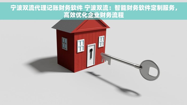 宁波双流代理记账财务软件 宁波双流：智能财务软件定制服务，高效优化企业财务流程