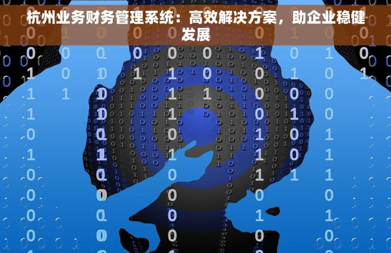 杭州业务财务管理系统：高效解决方案，助企业稳健发展