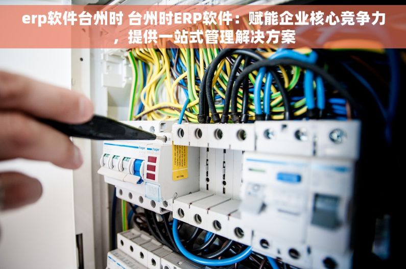 erp软件台州时 台州时ERP软件：赋能企业核心竞争力，提供一站式管理解决方案