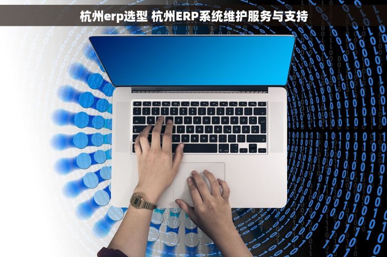 杭州erp选型 杭州ERP系统维护服务与支持