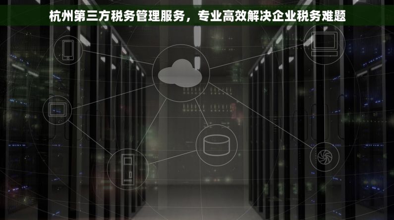 杭州第三方税务管理服务，专业高效解决企业税务难题