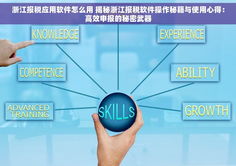 浙江报税应用软件怎么用 揭秘浙江报税软件操作秘籍与使用心得：高效申报的秘密武器