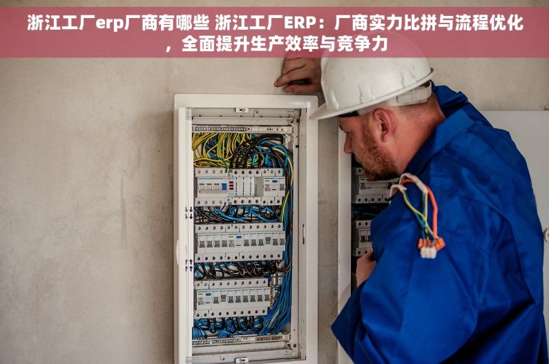 浙江工厂erp厂商有哪些 浙江工厂ERP：厂商实力比拼与流程优化，全面提升生产效率与竞争力