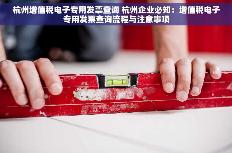 杭州增值税电子专用发票查询 杭州企业必知：增值税电子专用发票查询流程与注意事项