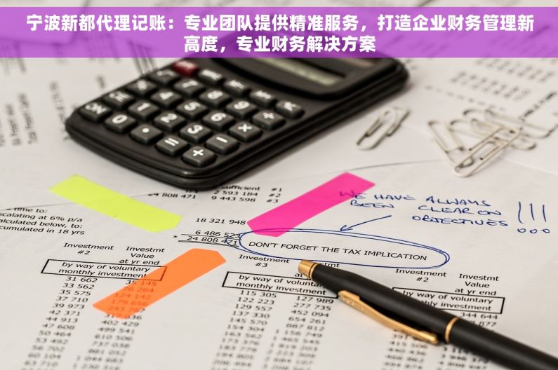宁波新都代理记账：专业团队提供精准服务，打造企业财务管理新高度，专业财务解决方案
