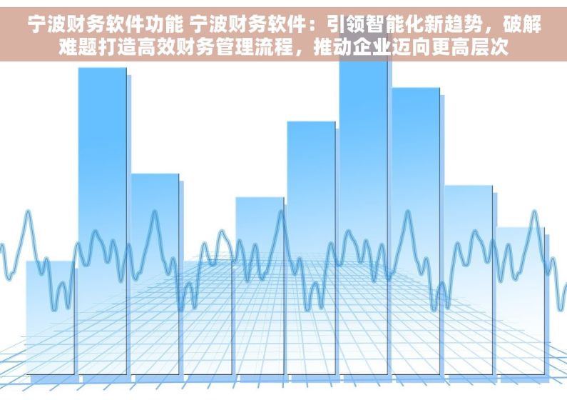宁波财务软件功能 宁波财务软件：引领智能化新趋势，破解难题打造高效财务管理流程，推动企业迈向更高层次