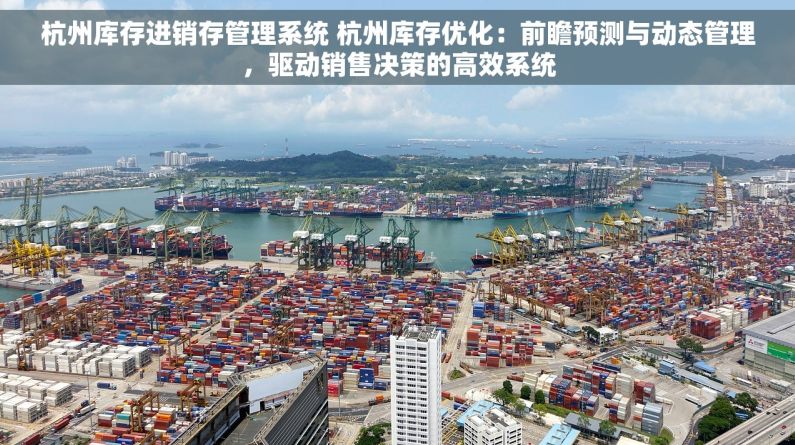 杭州库存进销存管理系统 杭州库存优化：前瞻预测与动态管理，驱动销售决策的高效系统