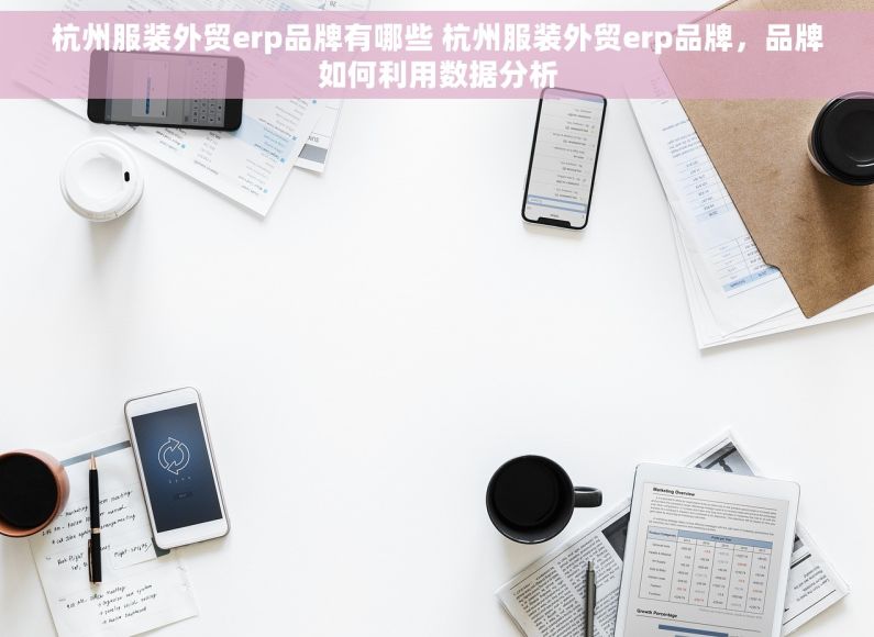 杭州服装外贸erp品牌有哪些 杭州服装外贸erp品牌，品牌如何利用数据分析