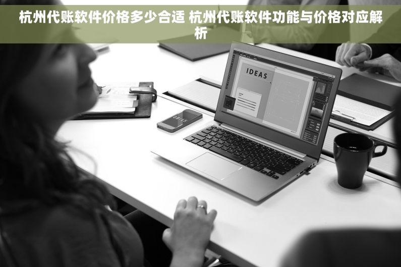 杭州代账软件价格多少合适 杭州代账软件功能与价格对应解析