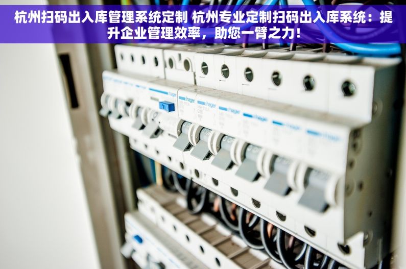 杭州扫码出入库管理系统定制 杭州专业定制扫码出入库系统：提升企业管理效率，助您一臂之力！
