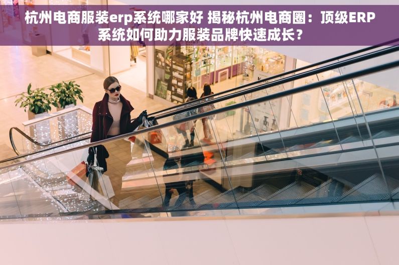杭州电商服装erp系统哪家好 揭秘杭州电商圈：顶级ERP系统如何助力服装品牌快速成长？