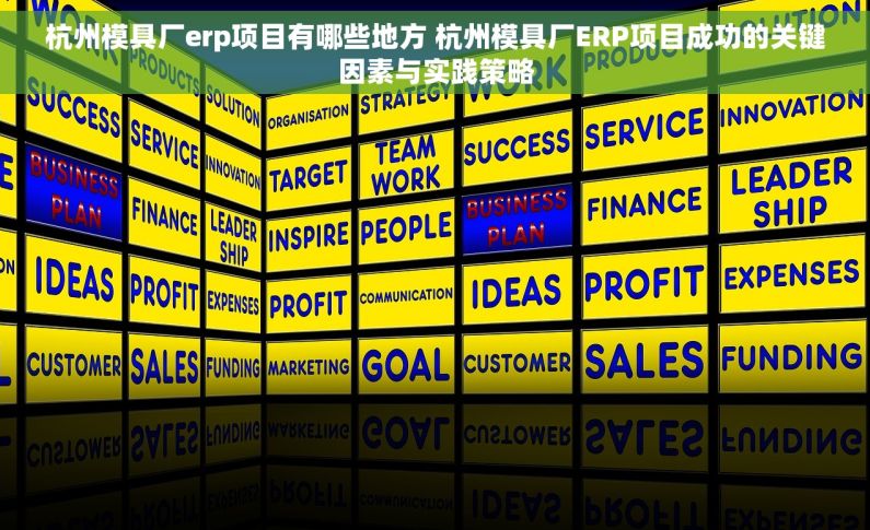 杭州模具厂erp项目有哪些地方 杭州模具厂ERP项目成功的关键因素与实践策略