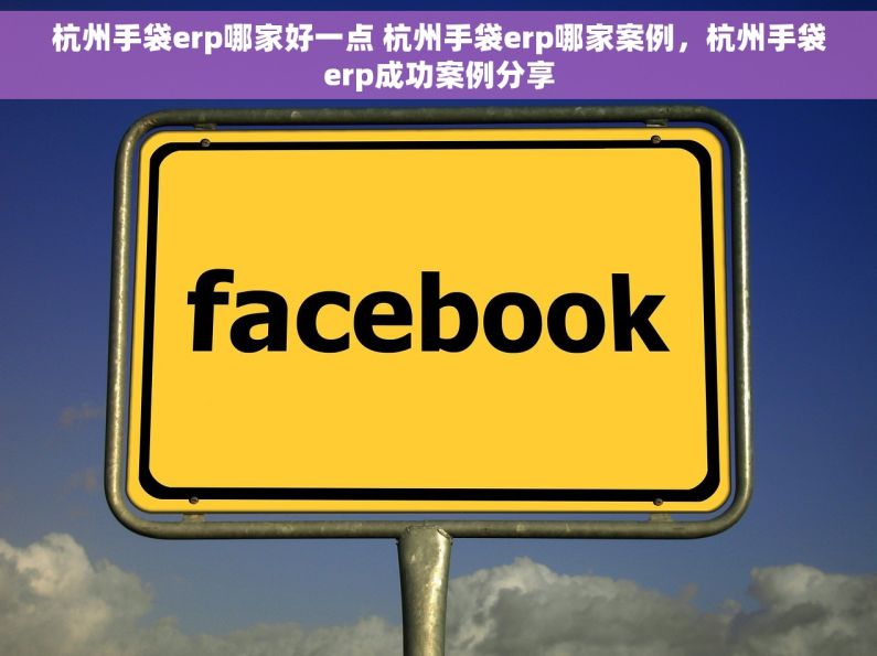 杭州手袋erp哪家好一点 杭州手袋erp哪家案例，杭州手袋erp成功案例分享