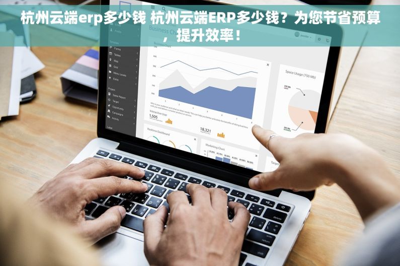 杭州云端erp多少钱 杭州云端ERP多少钱？为您节省预算，提升效率！