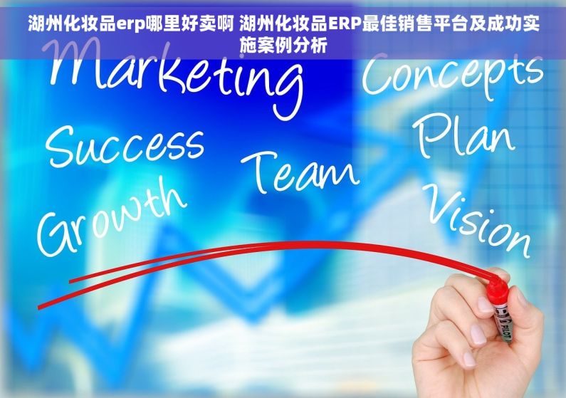湖州化妆品erp哪里好卖啊 湖州化妆品ERP最佳销售平台及成功实施案例分析
