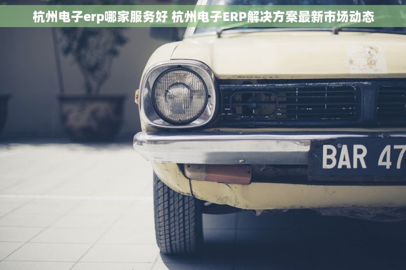 杭州电子erp哪家服务好 杭州电子ERP解决方案最新市场动态