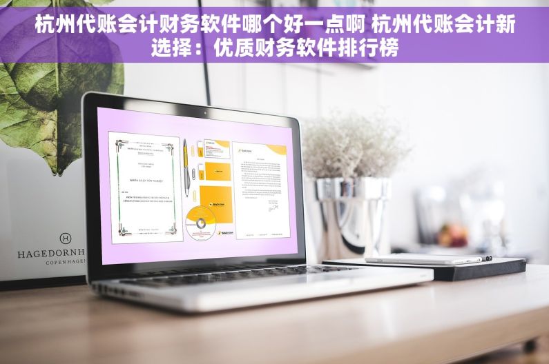 杭州代账会计财务软件哪个好一点啊 杭州代账会计新选择：优质财务软件排行榜