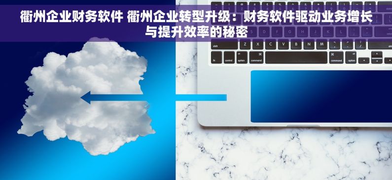 衢州企业财务软件 衢州企业转型升级：财务软件驱动业务增长与提升效率的秘密