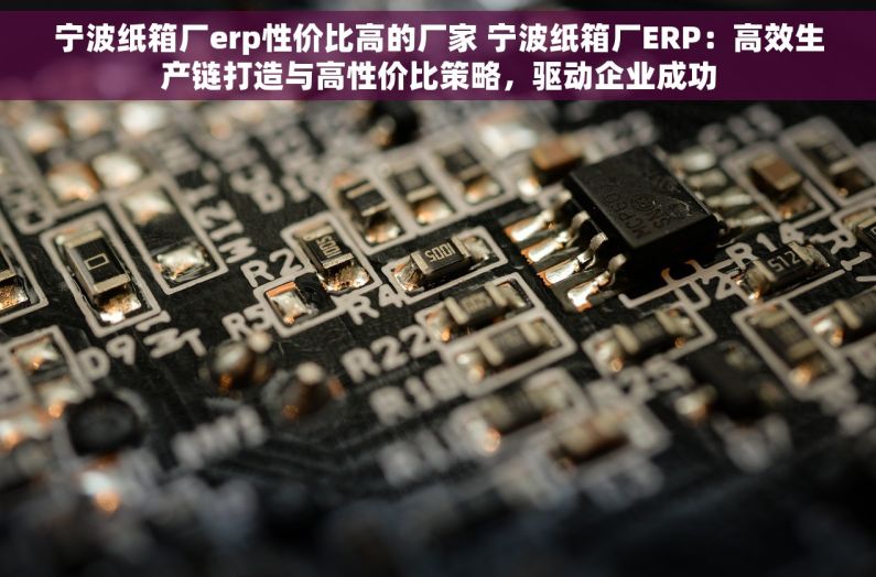 宁波纸箱厂erp性价比高的厂家 宁波纸箱厂ERP：高效生产链打造与高性价比策略，驱动企业成功