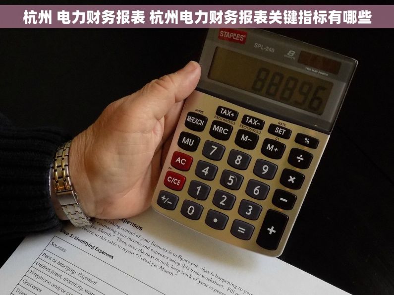 杭州 电力财务报表 杭州电力财务报表关键指标有哪些
