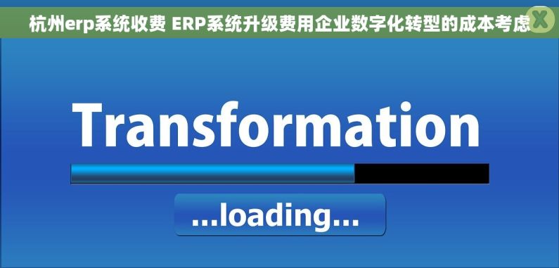 杭州erp系统收费 ERP系统升级费用企业数字化转型的成本考虑