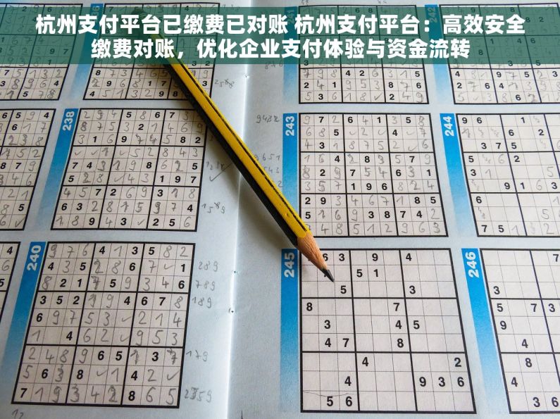杭州支付平台已缴费已对账 杭州支付平台：高效安全缴费对账，优化企业支付体验与资金流转