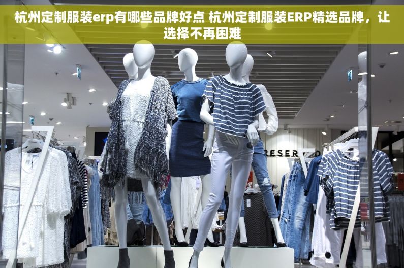 杭州定制服装erp有哪些品牌好点 杭州定制服装ERP精选品牌，让选择不再困难