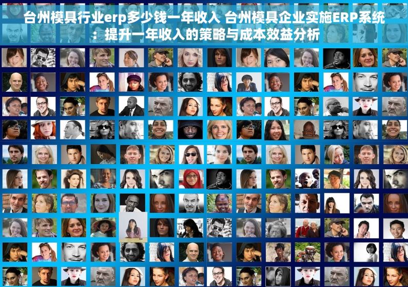 台州模具行业erp多少钱一年收入 台州模具企业实施ERP系统：提升一年收入的策略与成本效益分析