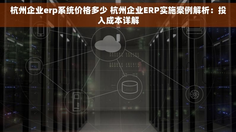 杭州企业erp系统价格多少 杭州企业ERP实施案例解析：投入成本详解