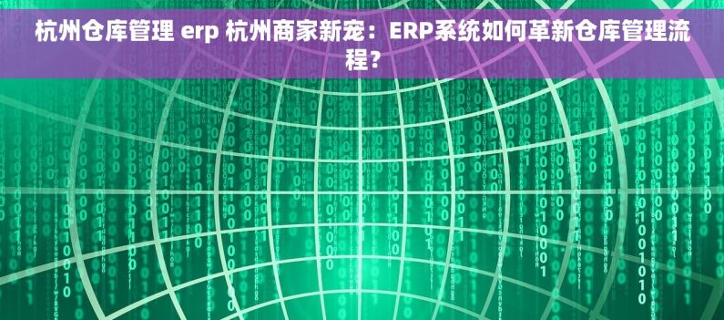 杭州仓库管理 erp 杭州商家新宠：ERP系统如何革新仓库管理流程？
