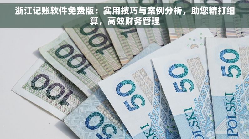 浙江记账软件免费版：实用技巧与案例分析，助您精打细算，高效财务管理