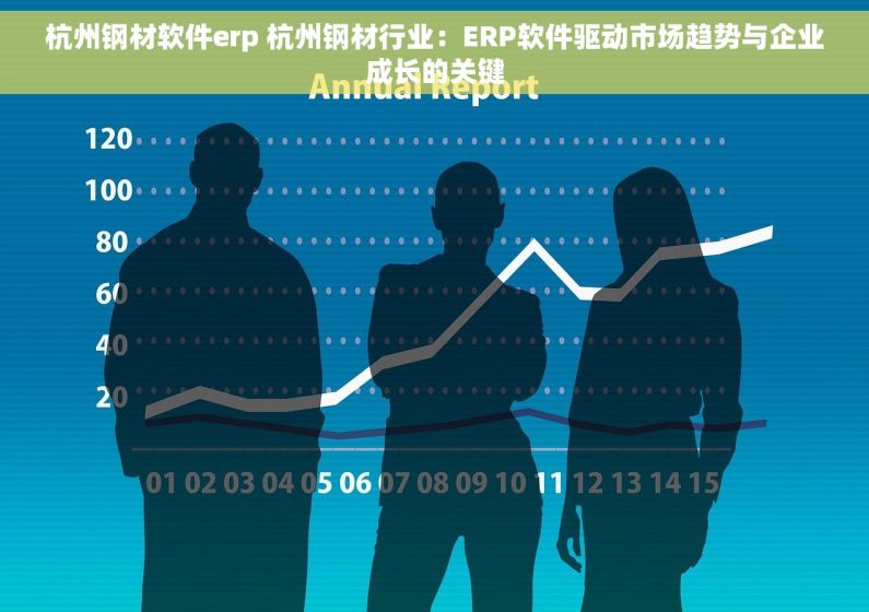 杭州钢材软件erp 杭州钢材行业：ERP软件驱动市场趋势与企业成长的关键