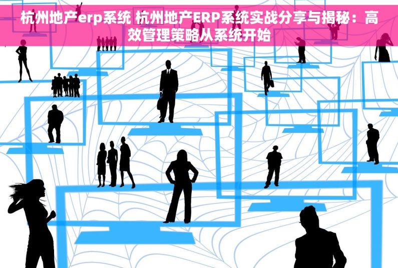 杭州地产erp系统 杭州地产ERP系统实战分享与揭秘：高效管理策略从系统开始