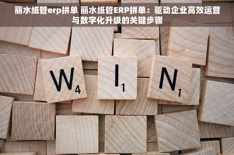 丽水纸管erp拼单 丽水纸管ERP拼单：驱动企业高效运营与数字化升级的关键步骤