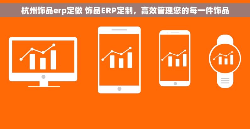 杭州饰品erp定做 饰品ERP定制，高效管理您的每一件饰品