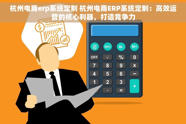 杭州电商erp系统定制 杭州电商ERP系统定制：高效运营的核心利器，打造竞争力