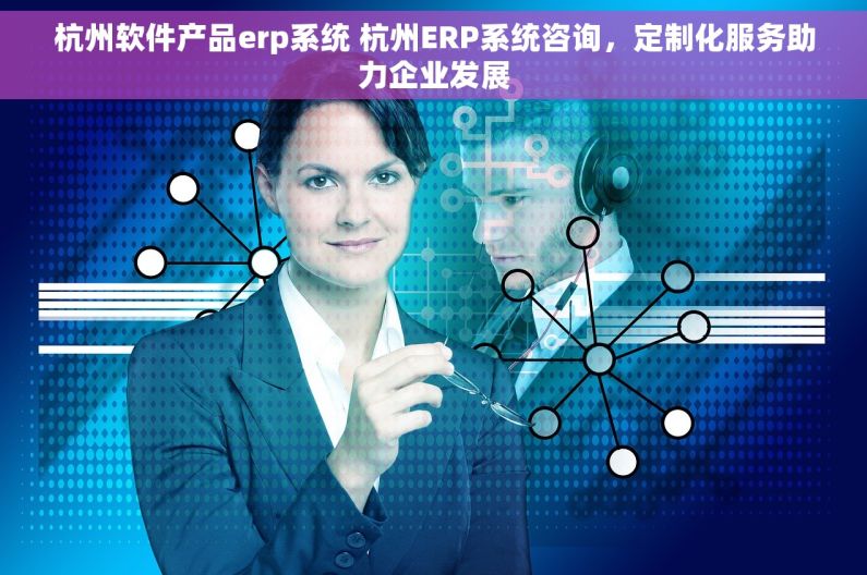 杭州软件产品erp系统 杭州ERP系统咨询，定制化服务助力企业发展