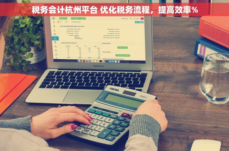 税务会计杭州平台 优化税务流程，提高效率%
